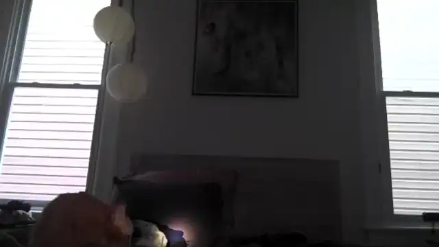 Brookie_b – [Myfreecams] Sexy Bitch Porn Live Chat Mom – 2025-11-03 13:54:25