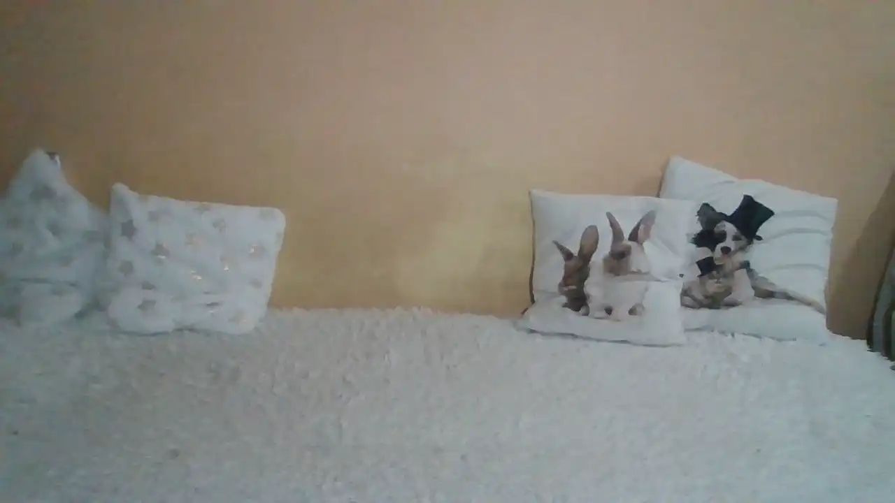 Sweetwiki23_ – [Showup] Does Everything Art Webcamchat – 2025-09-20 23:48:03