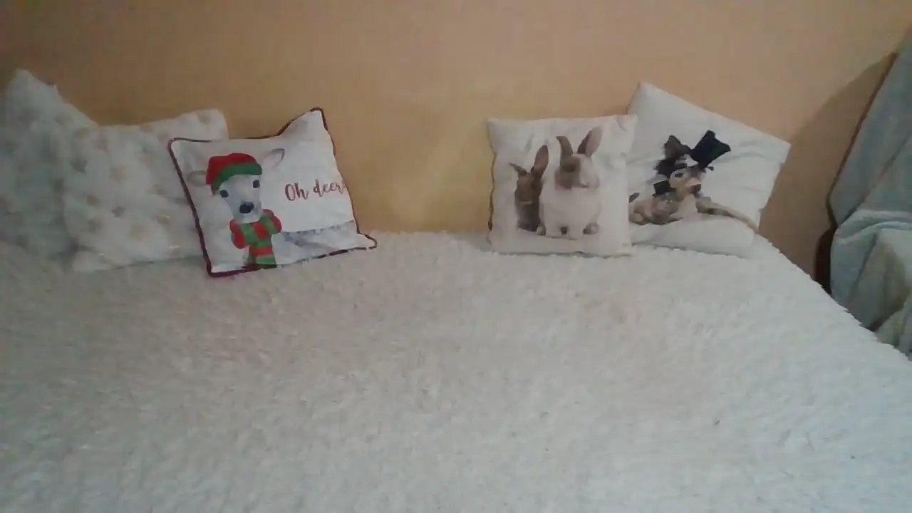 Sweetwiki23_ – [Showup] Pretty Cam Model Webcam Recording Big-ass – 2026-04-27 01:25:26